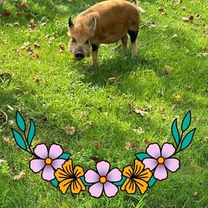 Meet your Posher, Becky